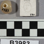 556848
