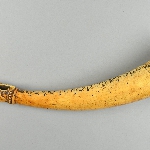 557159