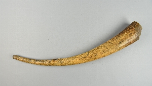 AF844