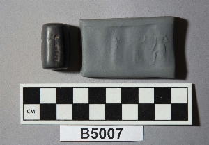 B5007