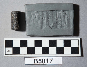 B5017