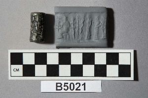 B5021