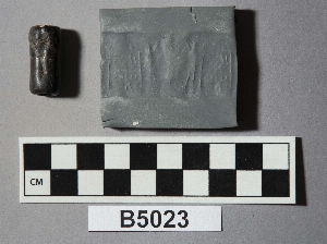 B5023