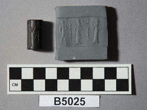 B5025