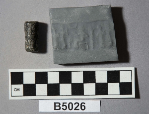B5026