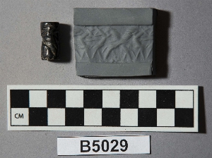 B5029