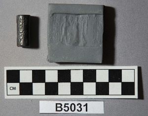 B5031