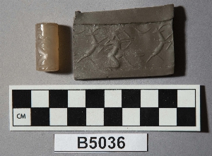 B5036