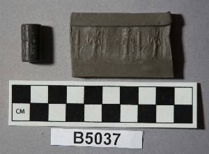 B5037
