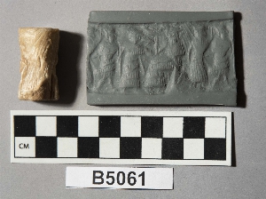 B5061