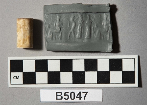 B5047