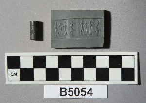 B5054