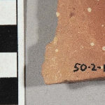 557806