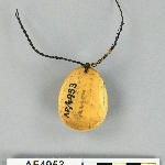 558604