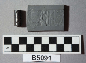 B5091