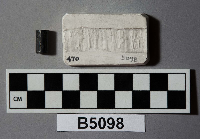 559007