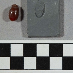 559078