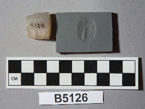 B5126