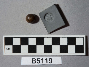 B5119