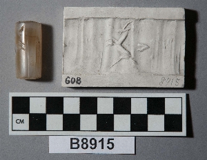 B8915
