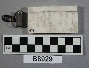 B8929