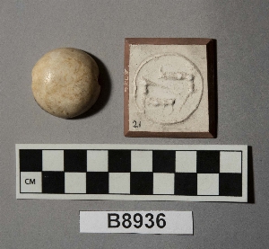 B8936