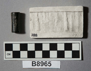 B8965