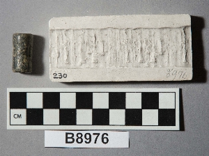 B8976