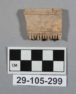 29-105-299