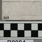 560732