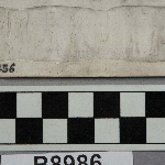 560736