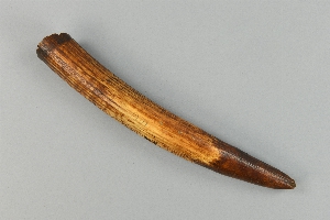 AF5099