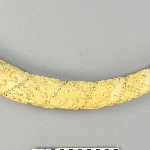 561505