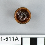 561529