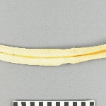 561603