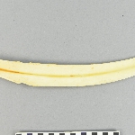 561606