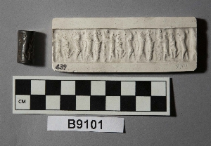 B9101