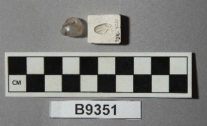 B9351