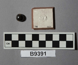 B9391