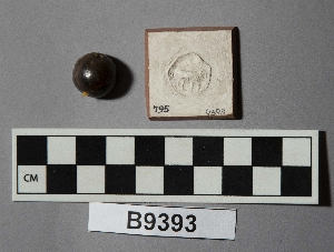 B9393