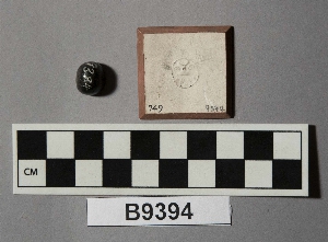 B9394