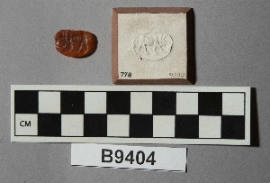 B9404