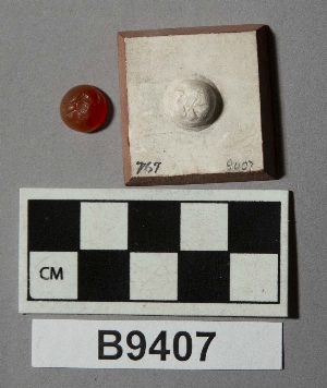 B9407