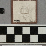 563290