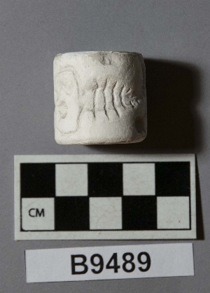 B9489