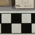 563354
