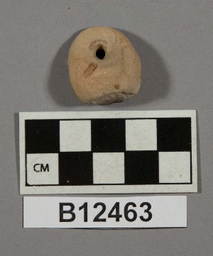 B12463