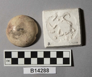 B14288