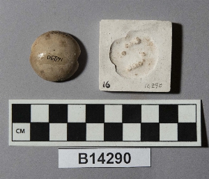 B14290