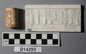 B14292